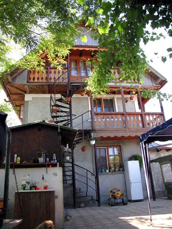 Hotel Casa Oana à Sulina Extérieur photo